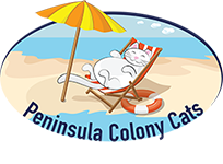 Peninsula Colony Cats