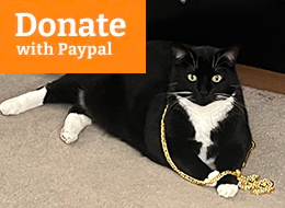 A tuxedo cat wearing a gold dollar sign chain. There is text the state Donate with Paypal