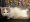 Photo of Julius, a white and gray short hair cat